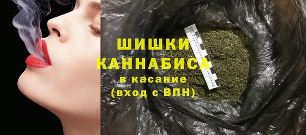 МДПВ Инта