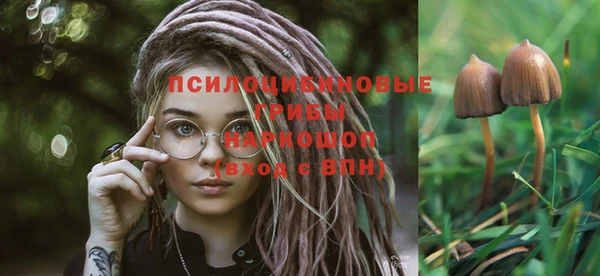гидра Иннополис