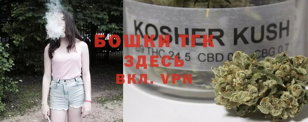 спиды Инсар