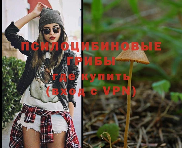гидра Иннополис