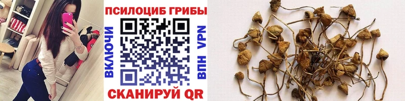Купить закладки  Добрянка  Галлюциногенные грибы прущие грибы 